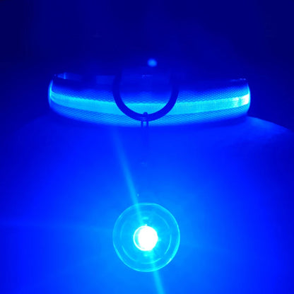 Glowing USB Pet Collar