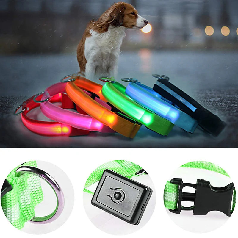 Glowing USB Pet Collar