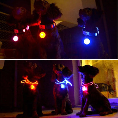 Glowing USB Pet Collar