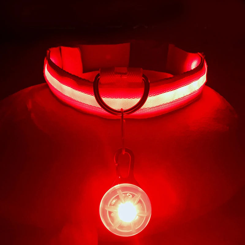 Glowing USB Pet Collar