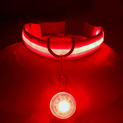 Glowing USB Pet Collar