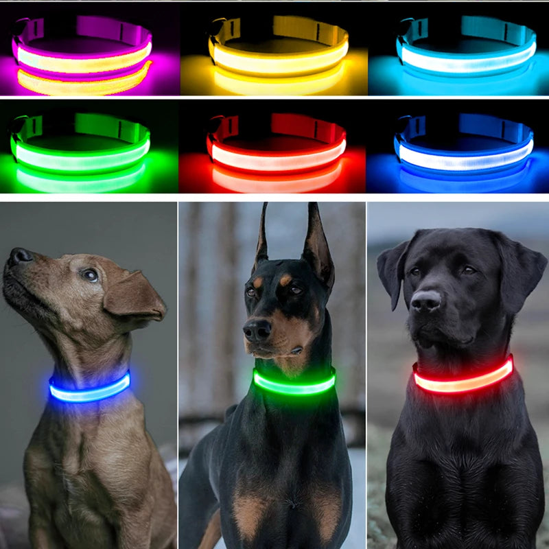 Glowing USB Pet Collar