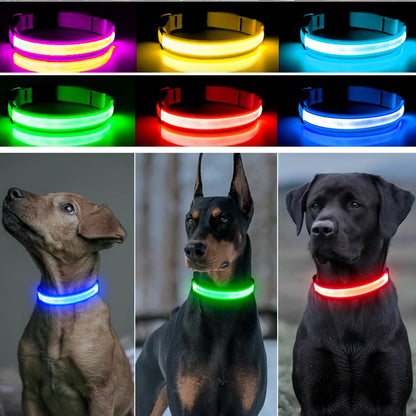 Glowing USB Pet Collar