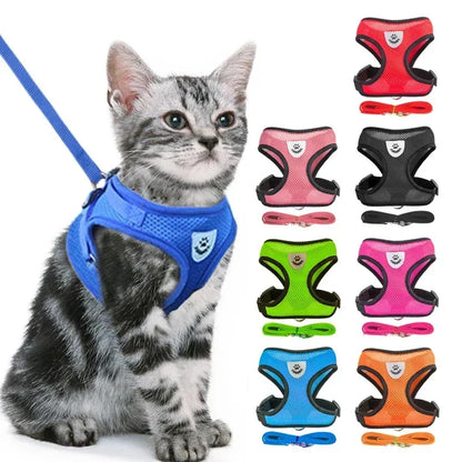 Stylish Mesh Pet Harness
