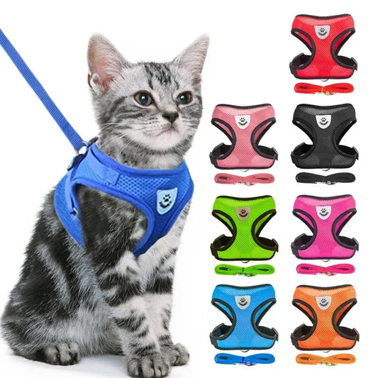 Stylish Mesh Pet Harness