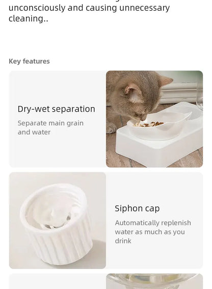 ErgoLift Dual Pet Feeder