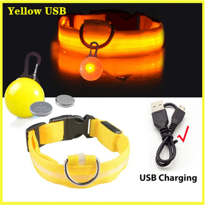 Glowing USB Pet Collar