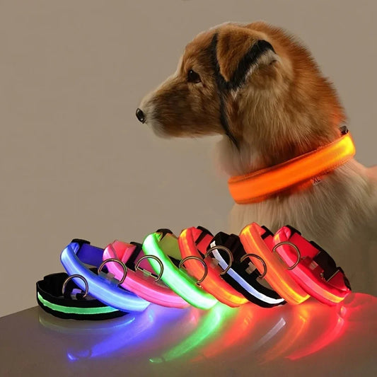 GlowSafe LED Dog Collar