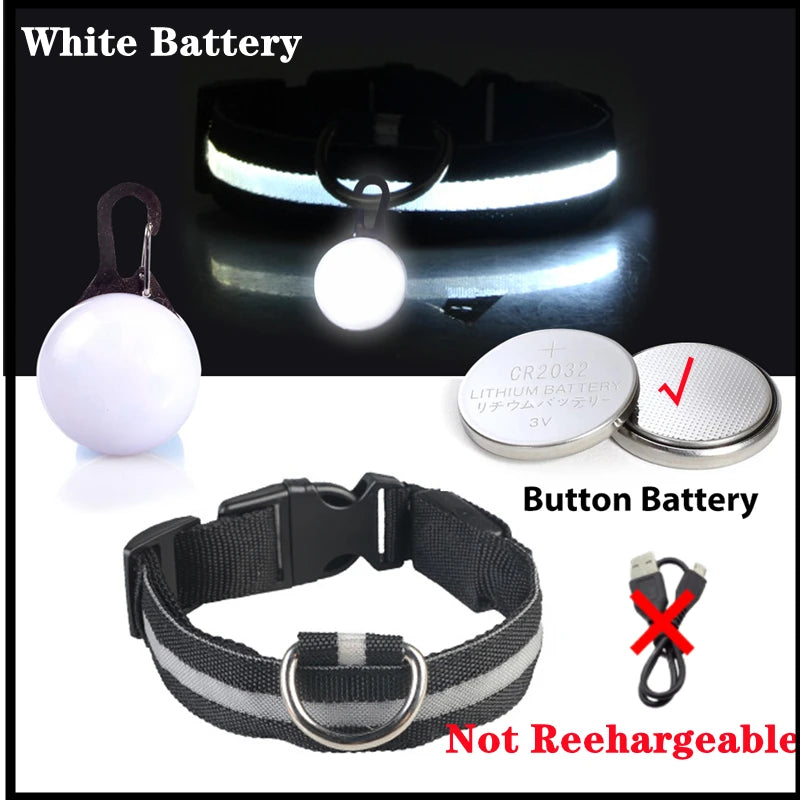 Glowing USB Pet Collar