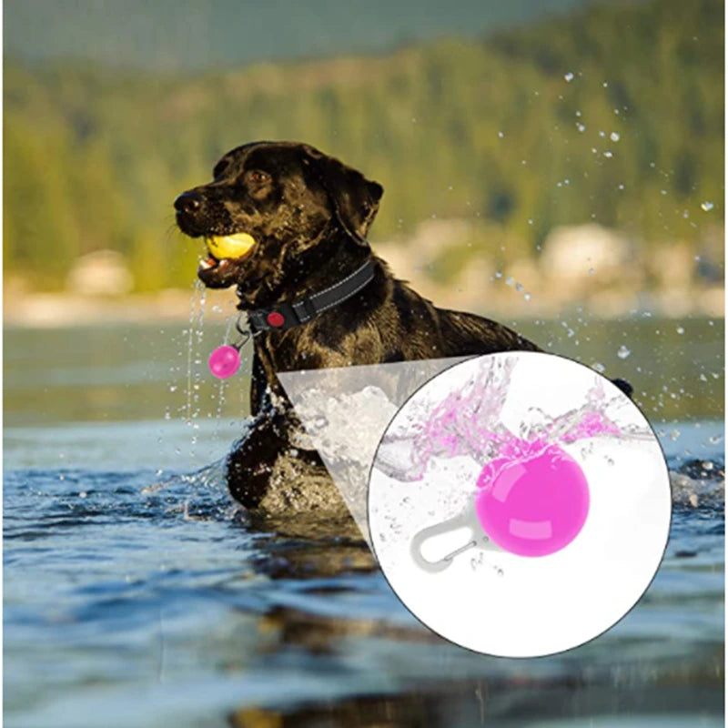 Glowing USB Pet Collar