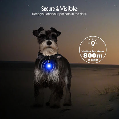 Glowing USB Pet Collar