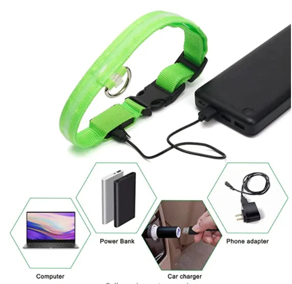 Glowing USB Pet Collar