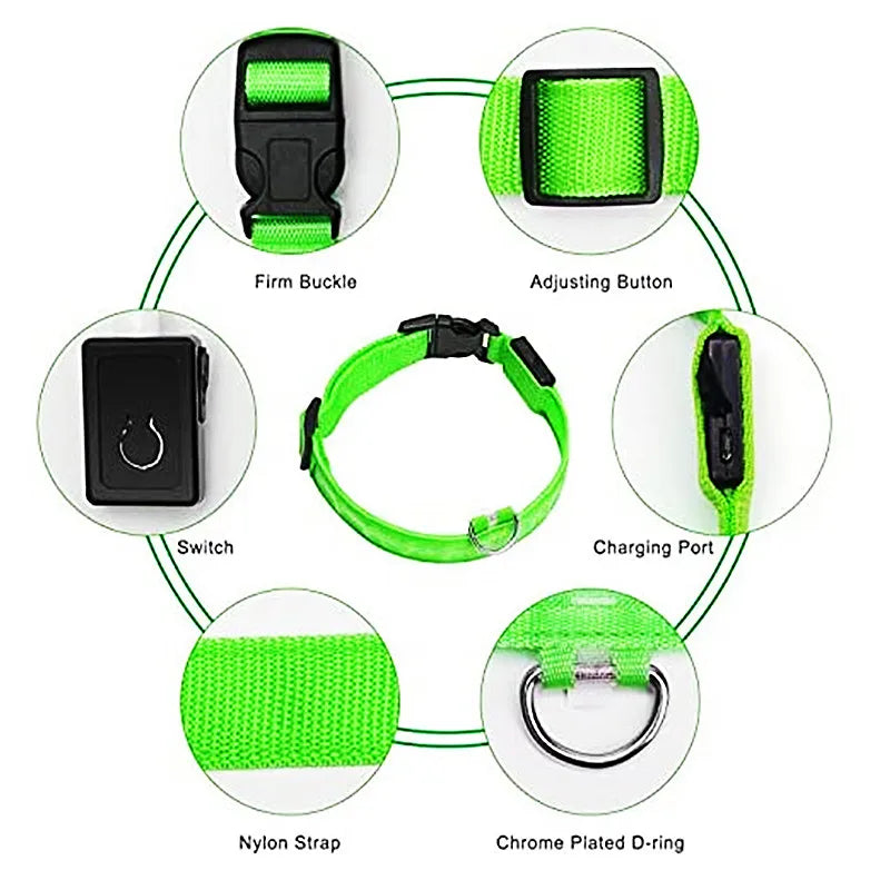 Glowing USB Pet Collar