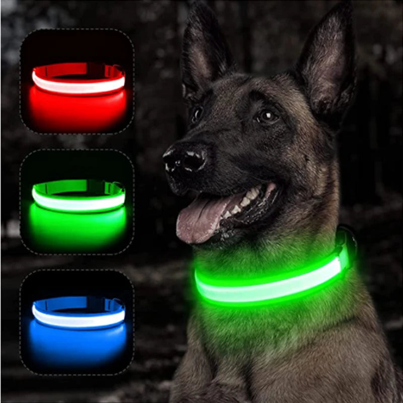 Glowing USB Pet Collar