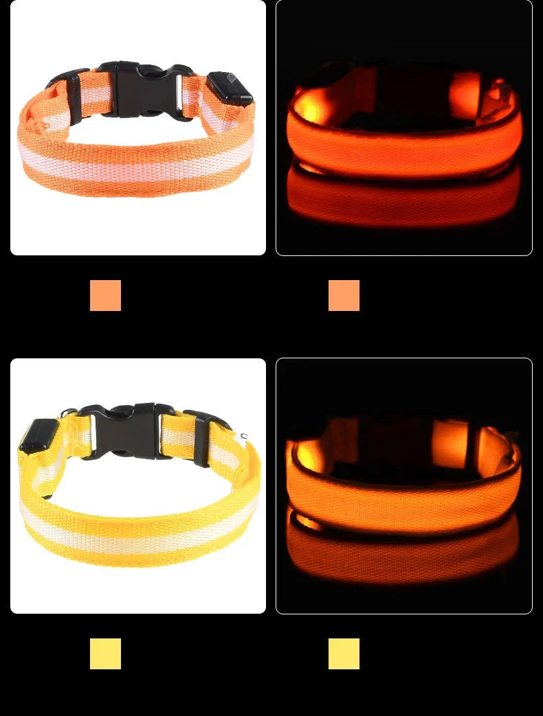 GlowSafe LED Dog Collar
