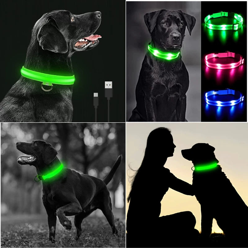 Glowing USB Pet Collar