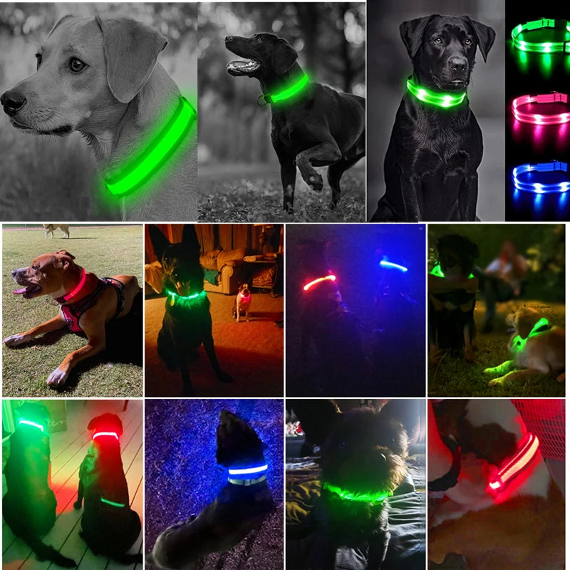 Glowing USB Pet Collar