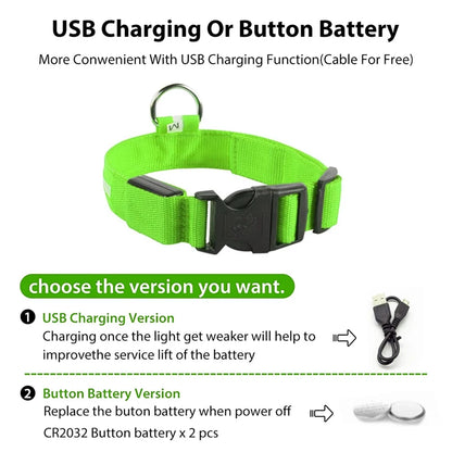 Glowing USB Pet Collar