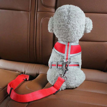 Stylish Pet Car Belt