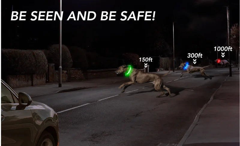 Glowing USB Pet Collar