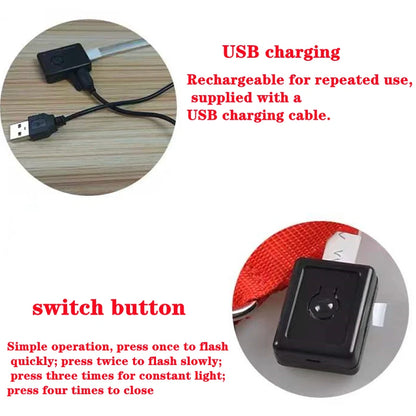 Glowing USB Pet Collar