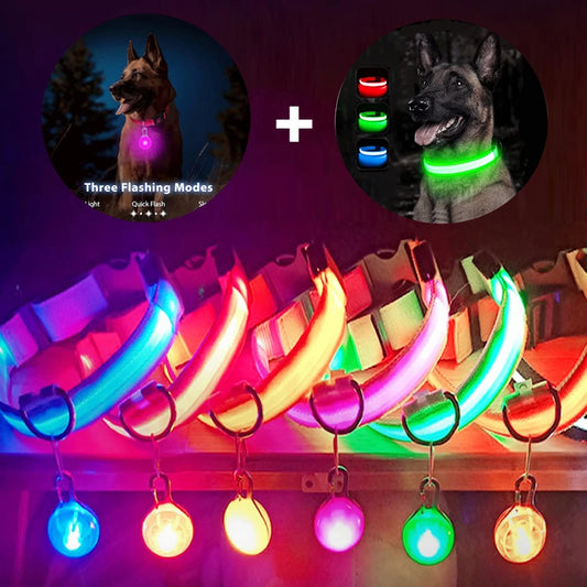 Glowing USB Pet Collar