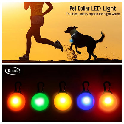 Glowing USB Pet Collar